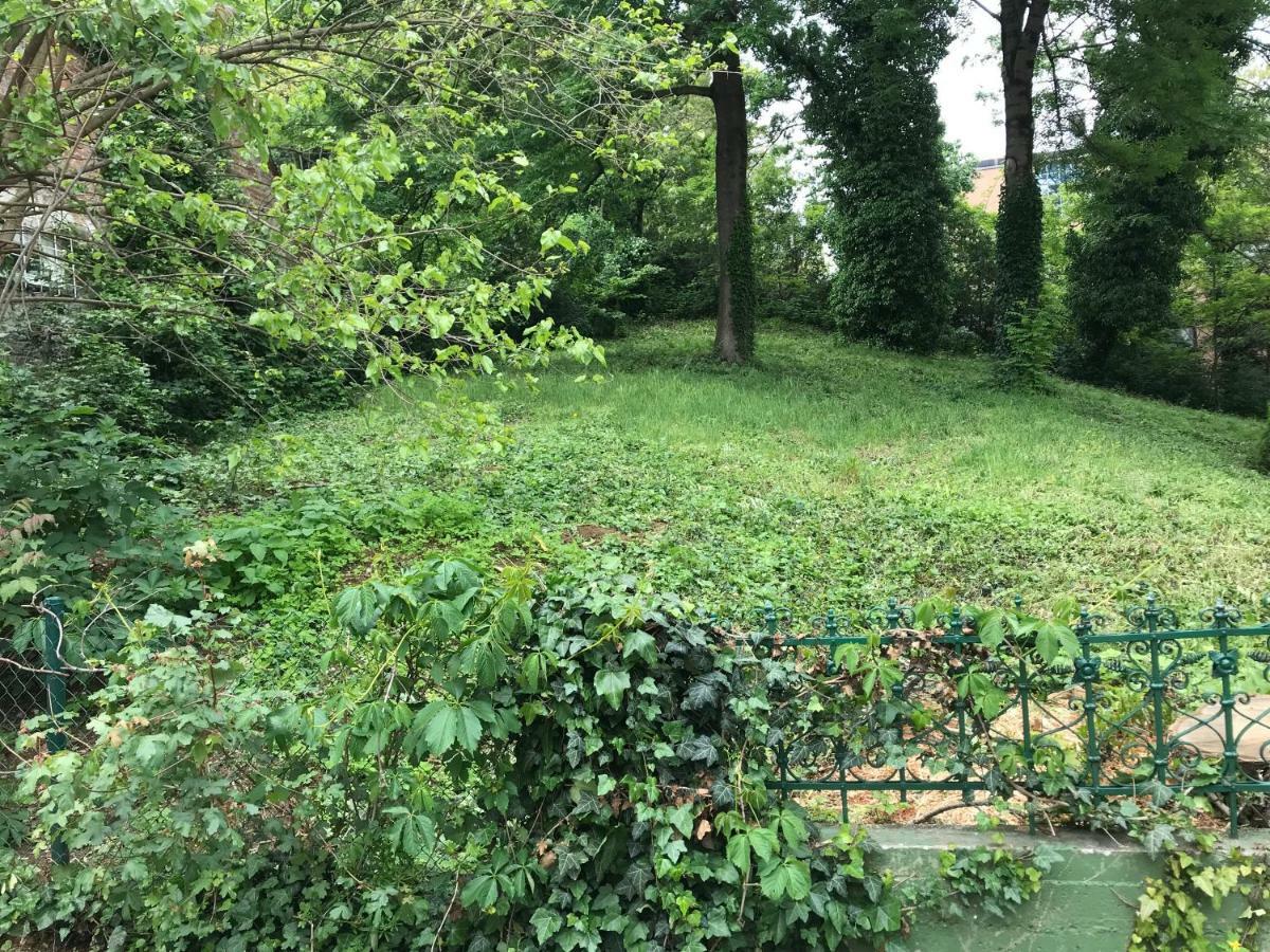 Magic Garden Center Apartment